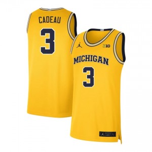 Men's Elliot Cadeau Maize Michigan Wolverines #3 College Basketball Alumni Jerseys 752801-648