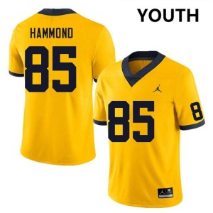 Youth Ted Hammond Yellow Michigan Wolverines #85 College Football High School Jersey 611981-623