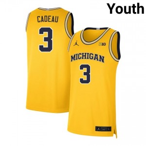 Youth Elliot Cadeau Maize Michigan Wolverines #3 College Basketball Game Jerseys 615038-856