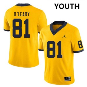 Youth Peyton O'Leary Yellow Michigan Wolverines #81 College Football Embroidery Jersey 299419-713